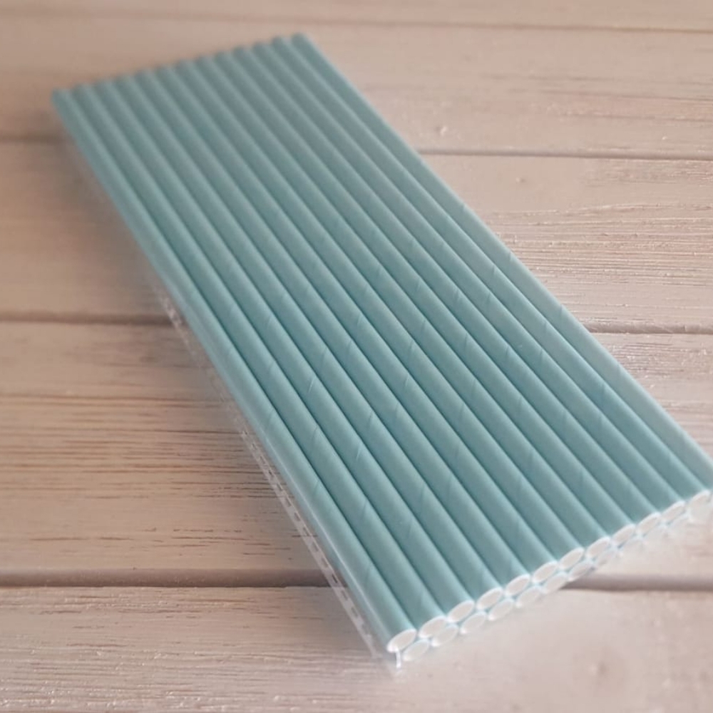 2/$22 Paper Straws Teal Blue Tiffany Party Supplies